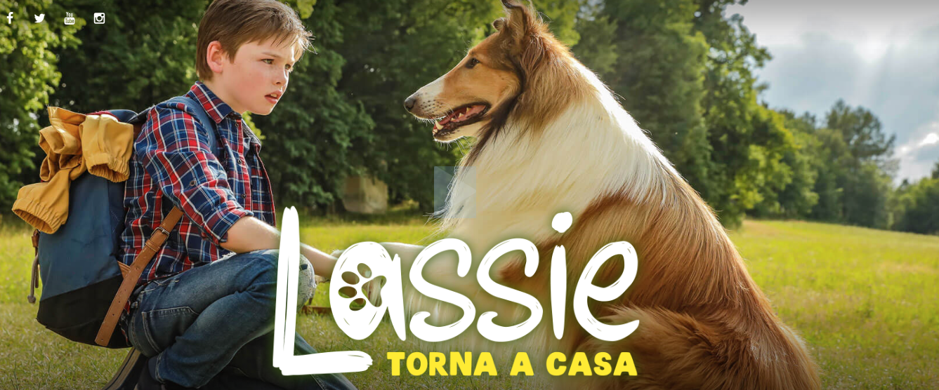 Lassie Torna A Casa Nuovo Cinema Castello